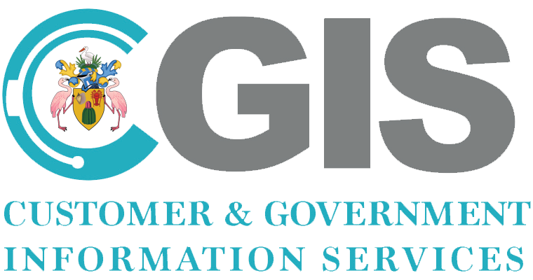 Customer & Government Information Services